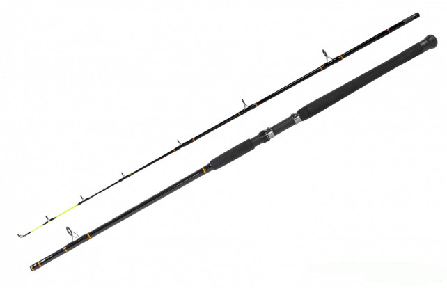 Уд. спиннинговое 2,4м Bushido Big Cat 100-350гр 8063-240 80277